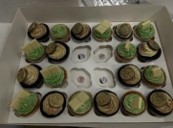 Cupcakes (12 cupcakes minimum)